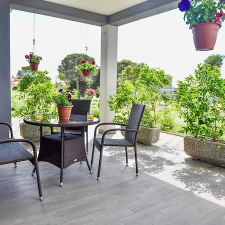 Ground Floor With Spacious Backyard Gostinjska kuća 3*