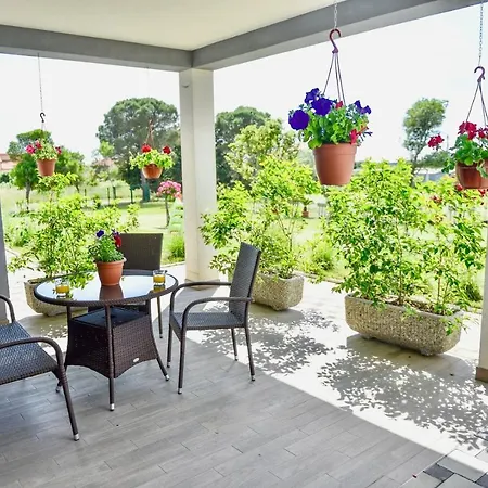 Ground Floor With Spacious Backyard 3*